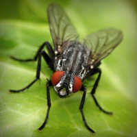 /album/le-blog-de-madame-laure/photolia-a01-jpg/