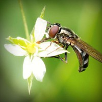 /album/le-blog-de-madame-laure/photolia-a02-jpg/