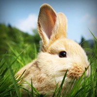 /album/le-blog-de-madame-laure/photolia-a03-jpg/