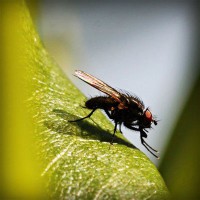 /album/le-blog-de-madame-laure/photolia-a04-jpg/