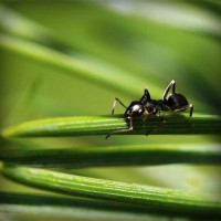 /album/le-blog-de-madame-laure/photolia-a05-jpg/