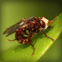 /album/le-blog-de-madame-laure/photolia-a06-jpg/