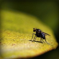 /album/le-blog-de-madame-laure/photolia-a07-jpg/