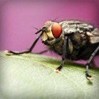 /album/le-blog-de-madame-laure/photolia-a08-jpg/